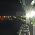 Yokohama Seaside  Line, viaduct
