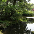 写真: 奇岩遊仙境の池