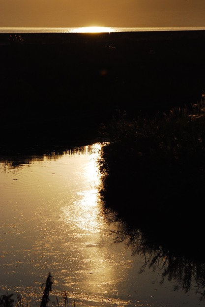 写真: 水面の光と影