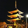 写真: 東寺・五重塔ライトアップ（２）