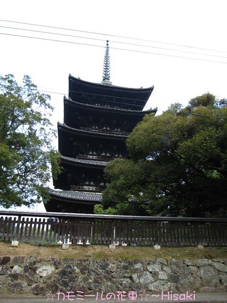 写真: 興福寺　五重塔