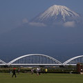 Photos: 160426 02 富士川河川敷の緑地公園（水管橋）から