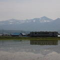 写真: 富良野 水田に映る十勝岳連峰 150529 01