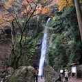 写真: 岐阜 養老の滝 151202 01