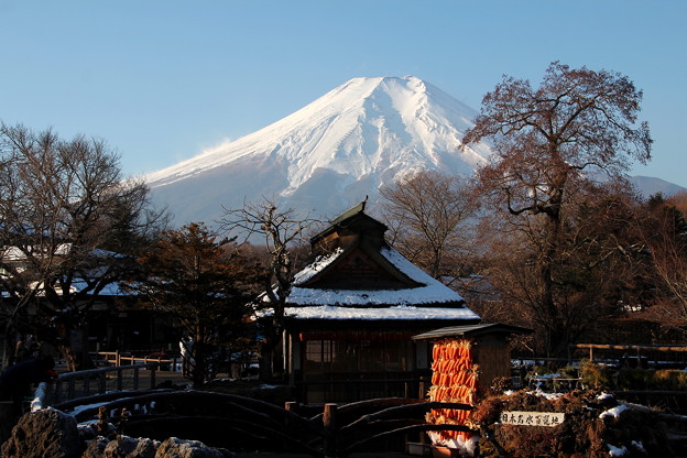 写真: 富士山 140101 04 忍野八海から
