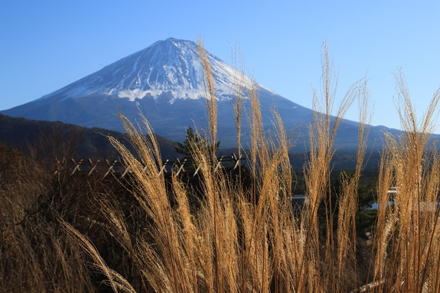写真: 富士山 癒しの里根場 171203 02