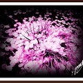 「桜の花弁アート・・・」 ・・・・