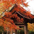 写真: 小松寺　雨　紅葉