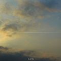 写真: まっすぐな飛行機雲（携帯にて）