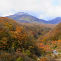 Photos: 茶臼岳と紅葉