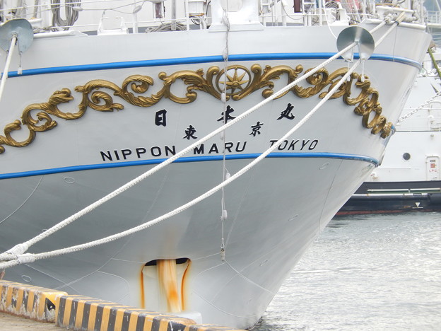 帆船日本丸セイルドリル