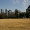 写真: 大阪城とビルとオッサン