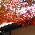 写真: 古刹・僧堂の秋