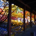 写真: 仏通寺川（活龍水）の紅葉