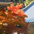 写真: 大方丈の秋 in 臨済宗大本山仏通寺