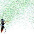 写真: 溢れる光、踊る昆虫