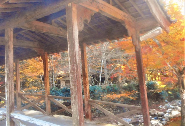 写真: 佛通寺の紅葉＠巨蟒橋(きょもうきょう)からの眺め