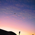 写真: 黄昏の夜間飛行、サンセットフライト便