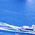 写真: 新春の尾道水道を航行する中型客船＠瑠璃山山頂展望台