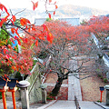 写真: 大本山西国寺の紅葉