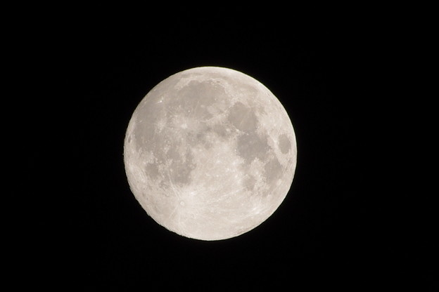 写真: 中秋のお月さま