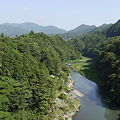 写真: 多摩川上流なうなう。良い天気なことよ。