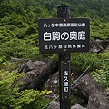 写真: 白駒の奥庭　shirakoma no okuniwa-220801-5