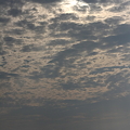 写真: 雲のミルフィーユ
