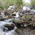 写真: 玉簾の滝
