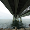 写真: 関西空港橋(真下)