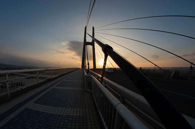 写真: 夕日とつり橋3