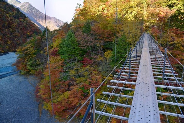 写真: 畑薙大吊り橋