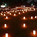 写真: 奈良国立博物館_燈花会2
