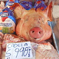 肉屋に並んでた豚の頭…リアル！！
