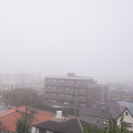 写真: 濃霧