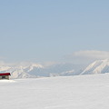 写真: 美瑛　雪の丘