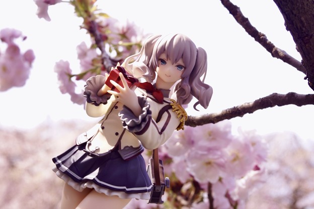 写真: 桜に錨_2