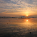 写真: 江津湖の朝日2