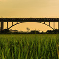 写真: 夕暮れの鉄道橋