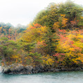 写真: 十和田湖見返の松