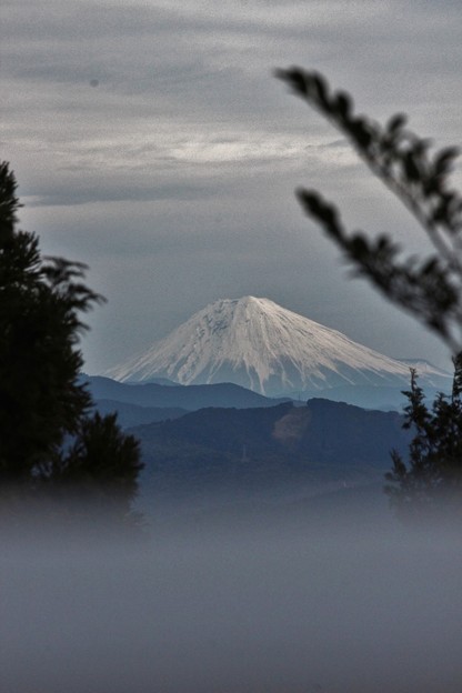 ２０１５年富幕山へ今年☆トミー２回登頂