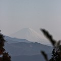 写真: ２０１５年富幕山へ今年☆トミー１１回登頂