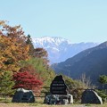 写真: 雪の赤石岳と「紅葉、黄葉」
