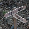 写真: 富幕山（Ｔ）さんが作った。コース案内看板