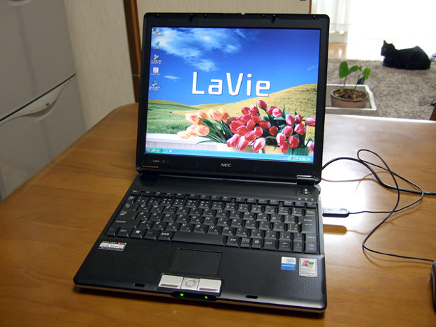 NEC LaVie G タイプJ（PC-LG11FJHGL）　その５