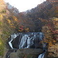 写真: 紅葉_袋田の滝 F8681