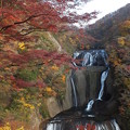 写真: 紅葉_袋田の滝 F8675