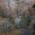 写真: 紅葉_袋田の滝 F8698