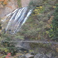 写真: 袋田の滝_吊り橋 F8699