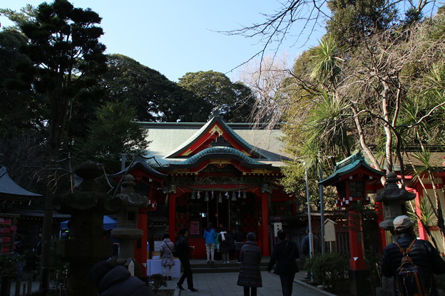 写真: 江島神社 D6311